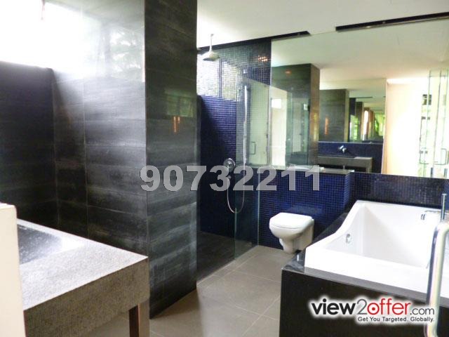 Shelford View (D11), Apartment #317462